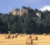 Dunster Castle: An amazing interior and spectacular gardens. Full opening times on the National Trust Website (see Links below)