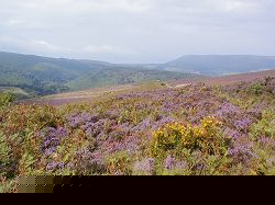 The Vale of Porlock as seen from the road around Dunkery Beacon